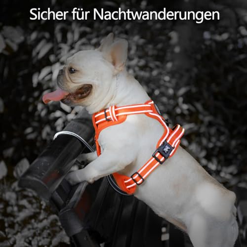 PoyPet Keine Pull Hundegeschirr, Reflektierendes Hundegeschirr für Hunde ohne Choke, Verstellbare, weich gepolsterte Haustierweste mit Easy Control-Griff für kleine bis große Hunde (Orange,XS)