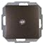 Rosewood brown illuminated