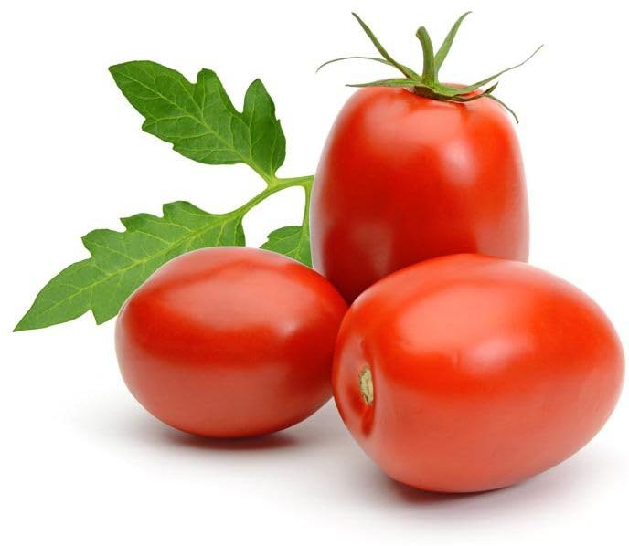 Willvine Tomato-KTL-5A-image-48