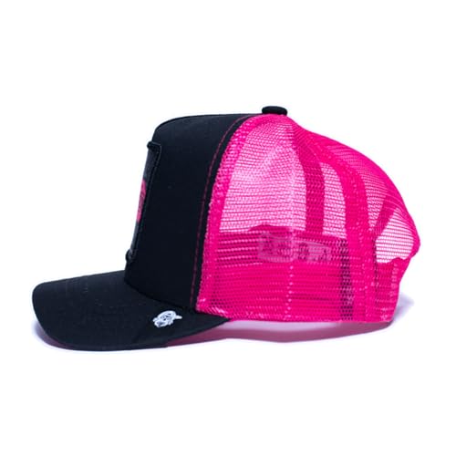 Béisbol, Sports tiendas beisbol en mexico Marca P´OOK CULTURE MX (2)