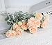 IPOPU Champagne Fake Peonies Artificial Ranunculus Flowers 6pcs 18Heads Champagne Silk Flowers 20.47