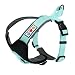 Pawtitas Pet Training Soft Adjustable Reflective Padded Puppy / Dog Harness Extra Extra Small Teal