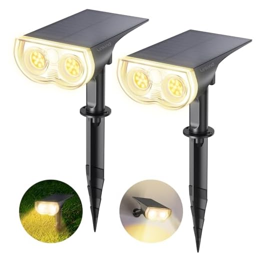 Linkind LED Solarlampen StarRay, Dusk to Dawn Licht Sensorik Solarleuchte, IP65 wasserdicht Außenwandleuchte, 800lm 3000K Warmweiß Solar Wegbeleuchtung Strahler für Garage Eingang, 2 Stück