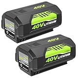 Replacement V6 Charger for Dyson Dyson V6 DC58 DC59 DC61 DC62 Motorhead AC DC Adapter Cordless Vacuum Cleaner Charger Absolute Animal-Forrat