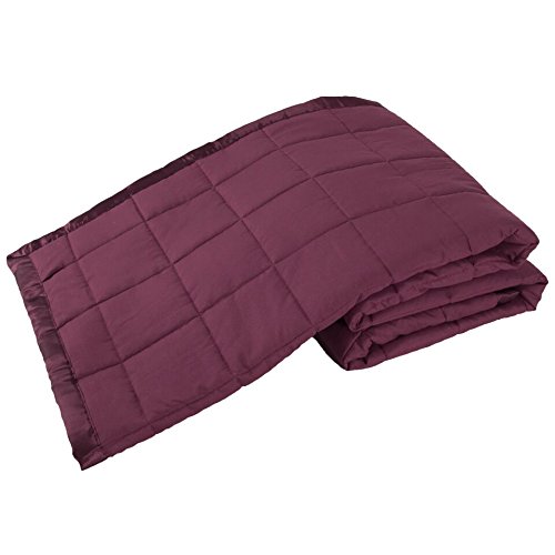 Elite Home Products Down Down Alternative Solid Blankets, King, Cabernet