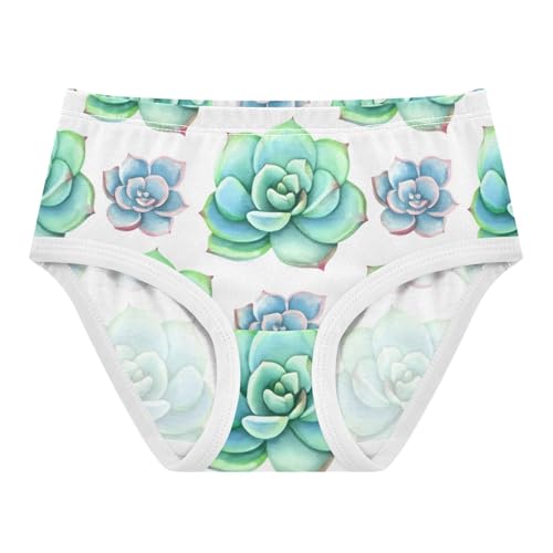 Girls Underwear Toddler 2t Cotton Cute Panties Girl Pattern Kids Undies Briefs Watercolor Green Blue Succulent White