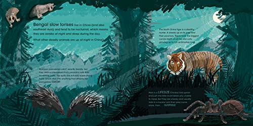 Lifesize Deadly Animals: See deadly animals at their actual size in this new illustrated non-fiction adventure for children aged 3+