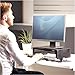 Fellowes 8038101 Designer Suites Monitor Riser