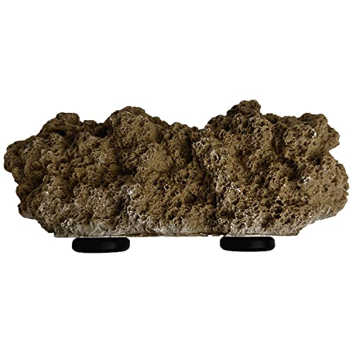 Reefing Art Magnetic Reef Rock Frag Rack Floating Rock Strong Magnets for 1/5.1 cm Glass (Brown)
