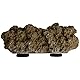 Reefing Art Magnetic Reef Rock Frag Rack Floating Rock Strong Magnets for 1/5.1 cm Glass (Brown)