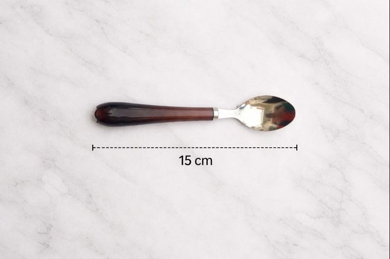 Image of Habib Spoon Set Stainless Steel with Shiny Colors Plastic Handle for Kitchen and Dining Table, Lunch and Dinner Pack of 6 Pcs (Chocolete Color)