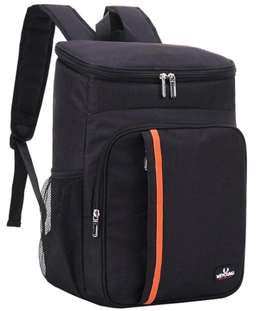 Mochila Térmica Resistente à Água – Bolsa Cooler Portátil para Praia, Viagem e Camping, Mantém Bebidas Geladas e Alimentos Quentes, Ideal para Cerveja, Lanches e Piqueniques (PRETA)