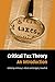 Critical Tax Theory