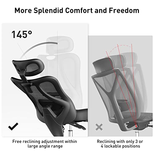 Hbada Ergonomic Office Chair With Adjustable Lumbar Support, Desk Chair With Adjustable Headrest, Swivel Computer Chair With Footrest And Pu Wheels, Backrest Tilt And Lock Any Angle Black #TOP7