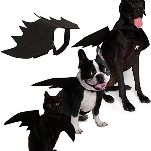 Halloween Kostüm Für Hunde & Katzen - Fledermaus Umhang Mit Hut