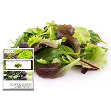 Mixed Greens Lettuce Seed Variety Mix, Mesclun Mix, 500+ Heirloom Seeds Per Packet, Islas Garden Seeds, Non GMO Seeds, 95% Germination Rates