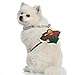 Littlearth NHL Pet Fan Chain Minnesota Wild
