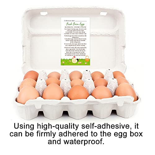 Maosh Egg Handling Instruction Stickers, Farm Fresh Egg Care Stickers, Egg Carton Sticker, Egg Labels, Date Stickers For Fresh Eggs, Set Of 50 (4281460) #TOP3