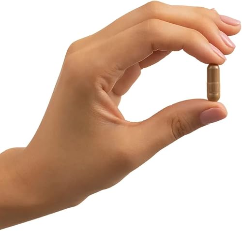 Miniatura 7 de Santo Remedio Maca, ayuda a mantener niveles de energía saludables, suplemento dietético, 750 mg por porción, vegetariano, sin sabores artificiales,