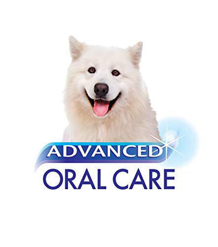 nylabone toothpaste reviews