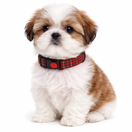 Image of Emily Pets Dog Collar with Safety Locking Buckle, Adjustable Soft Breathable Comfortable Nylon Pet Collar for Small, Medium Dogs & Cats (Color May Vary)