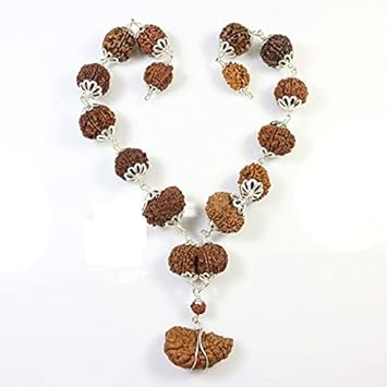The Gallery Of Gemstones Natural. Nepal Brown Beads 1-14 Mukhi Rudraksha Mala with Gori Shankar Ganesh Rudraksha with Silver Capping Sarva Siddha Mala Original Certified by Lab