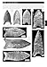 NEW 16th Edition - The Official Overstreet Indian Arrowheads Identification & Price Guide 2024