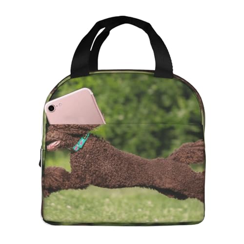 断熱ランチバッグ 大容量 防水 熱漏れ防止 スタイリッシュで丈夫 仕事、学校、アウトドア活動に便利 男女兼用 (ブラウン かわいいプードル グリーン 素晴らしい動物 犬 楽しい リトル)