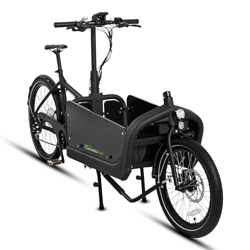 SachsenRAD E-Bike Cargo Lastenrad T10 250W 36V,16AH|100Nm BAFANG...