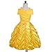 Dressy Daisy Toddler Girls' Princess Yellow Gold Ball Gown Birthday Party Fancy Dress Up Halloween Costume Size 2T to 3T