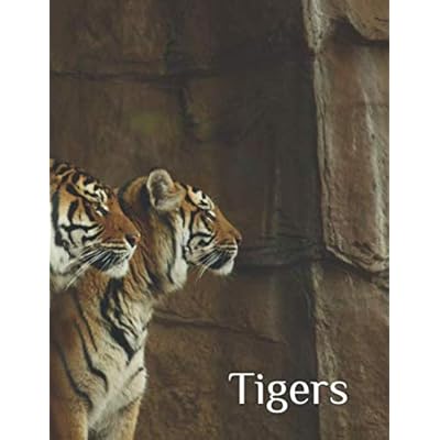 Tigers: 120 page college ruled composition book in 8.5x11 size