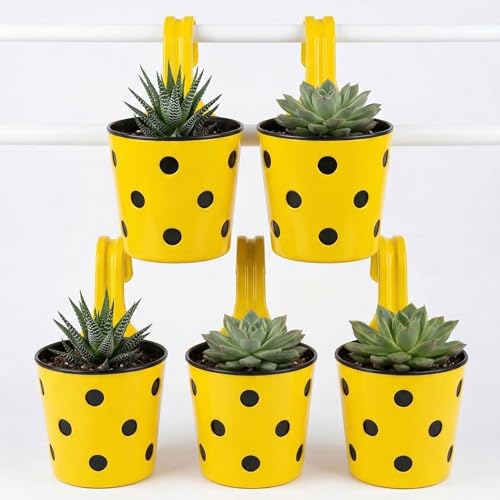 Image of Premium Hook Planter with Inner Pot | Polka Dot Hanging Planter for Balcony & Railings | Sturdy Plastic | Built-in Drainage | Vibrant Colours | Indoor & Outdoor Gardening (5, Yellow)