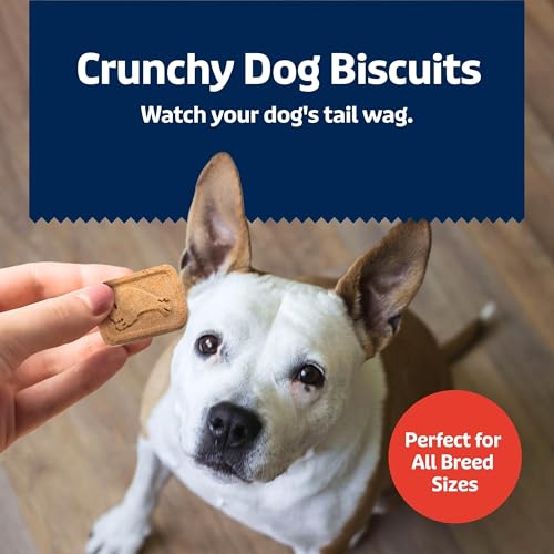 Image of Blue Buffalo Health Bars Crunchy Dog Biscuits, Oven-Baked with Natural Ingredients, Bacon, Egg & Cheese, 3.5-lbs Box (Pack of 3)