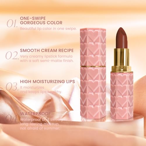 Image of evpct 1Pcs Dark Brown Lipstick, Silky Velvet Matte Lipstick Pack Sets for Women, Long Lasting Smudge Proof Lipstick Lip Stain Makeup Kit matte lipstick 24 hours original N05