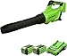 Greenworks GD40ABK2X Soplador de Hojas a Batería Axial con Motor sin Escobillas, 210 km/h, 15,6 m³/min, Dos Baterías de 40V 2Ah y Cargador, Garantía de 3 Años