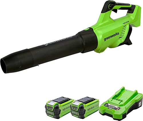 Greenworks GD40ABK2X Souffleur à Batterie Axial de Feuilles Sans Fil avec Régulateur de Vitesse, Moteur Sans Balais, 210km/h, 15,6 m³/min, Fonction Turbo,...