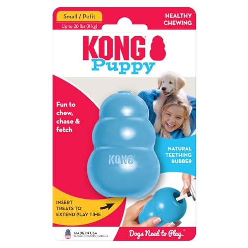 KONG – Puppy Toy Naturkautschuk zur Zahnungshilfe – Kauen, Jagen, Apportieren (Farbvar.) – Für Kleine Welpen