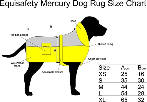 Equisafety Reflective Mercury Dog Coat Orange X-Large #TOP1