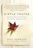 Simple Truths: Clear & Gentle Guidance on the Big Issues in Life