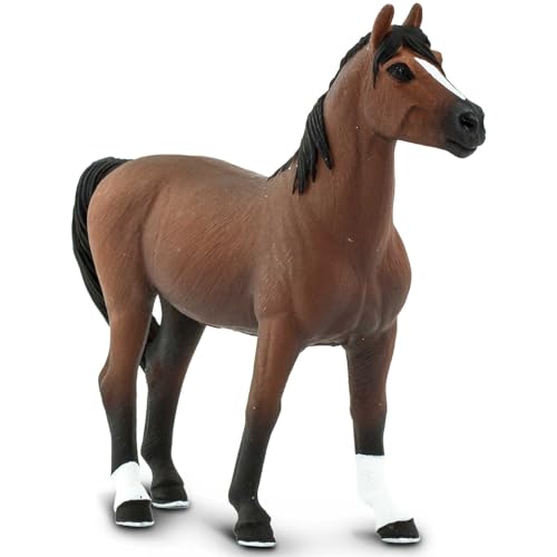 Morgan Stallion pour vos soirées en ville et rendez-vous pro