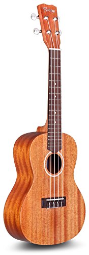 Protege By Cordoba U100Cm Concert Ukulele Bundle (Amazon Exclusive) #TOP2