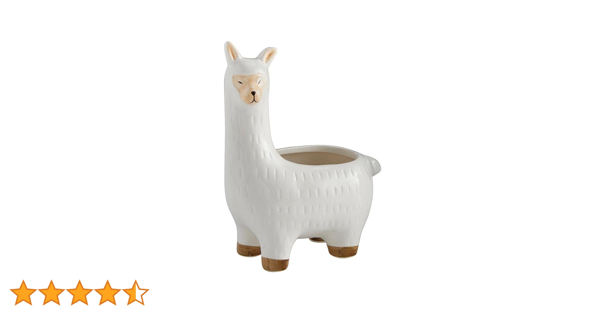 Amazon.co.jp: 47th & Main Flower 屋内植物 | 動物の形をした