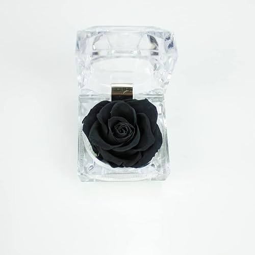 Miniatura 3 de Gadpiparty Rosa preservada en una caja, regalo de rosa eterna en cúpula de cristal con cinta preservada para aniversario, cumpleaños, día de San