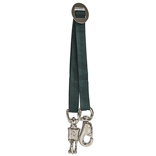 Intrepid International Cheval Attache Remorque pour Une Traction, 220359, Green Cover