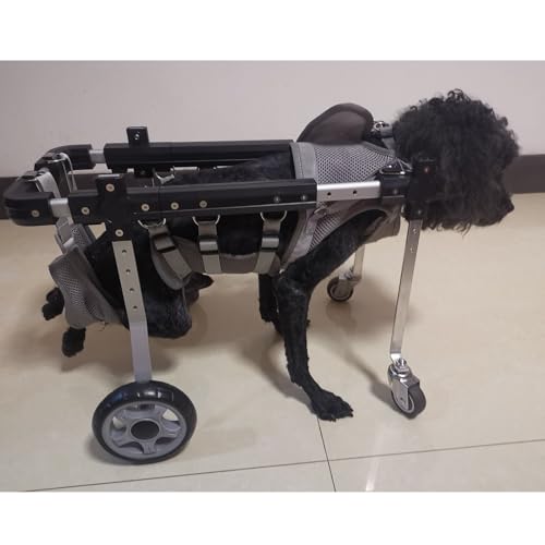 Fauteuil roulant pour chien à 4 roues pour pattes arrière XS-L