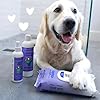 earthbath, Mediterranean Magic Dog Shampoo - Deodorizing Shampoo for Dogs, Rosemary Scented Dog Wash, Made in USA, Shampoo for Smelly Dogs, Cruelty Free Pet Shampoos - 16 Oz (1 Pack)