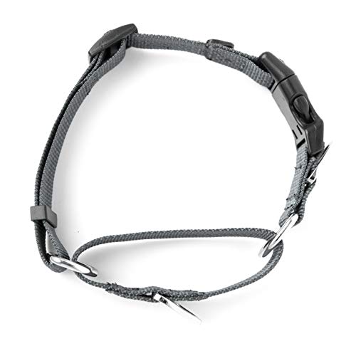 Mighty Paw Martingale Nylon Training Collar. Our Trainer Approved Limited Slip Collar. Modified Cinch Collar For Controlled Force For Optimal Training. Reflective Stitching To Keep Your Dog Safe! #TOP4