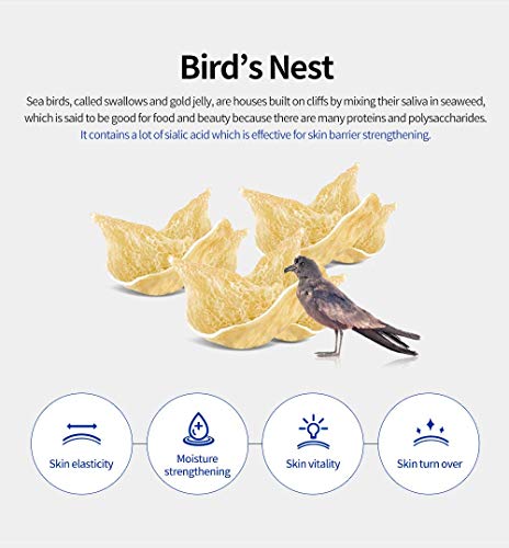SNP 1000mg Bird's Nest + Hyaluronic Acid Ampoule Sheet Mask | Hyaluronic Acid Sheet Mask | Maximum Hydration and Protection for All Dry Skin Types | Korean Skincare Facial Mask | 10 Sheets