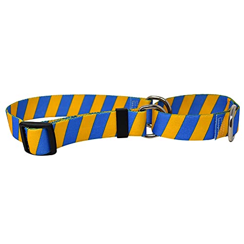 Image of Yellow Dog Design Team Spirit Gold and Blue Dog Leash-Size Small /Medium-3 /4 Wide and 5 feet (60 inch) Long