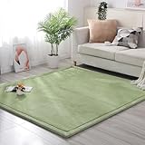 SAYEYBU Alfombra Grande, Alfombra Terciopelo Coral para Juegos De BebéS, Alfombra para Gatear para BebéS, Alfombra Gruesa para Sala De Estar, Alfombra De Yoga Antideslizante,07,100 * 200CM